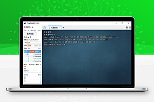 finalshell_install中文版