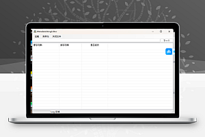 MetaDataStringEditor16进制修改不限制位数工具